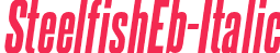 SteelfishEb-Italic